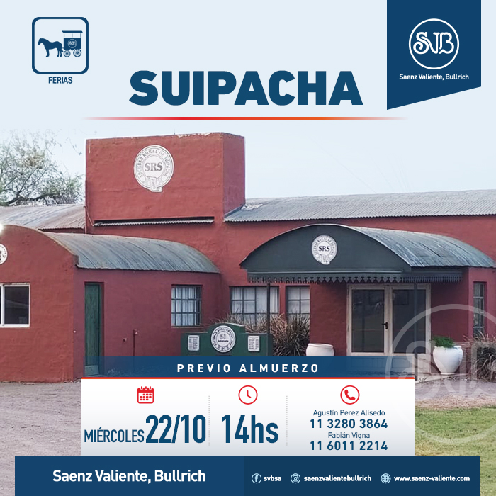 Feria en Suipacha
