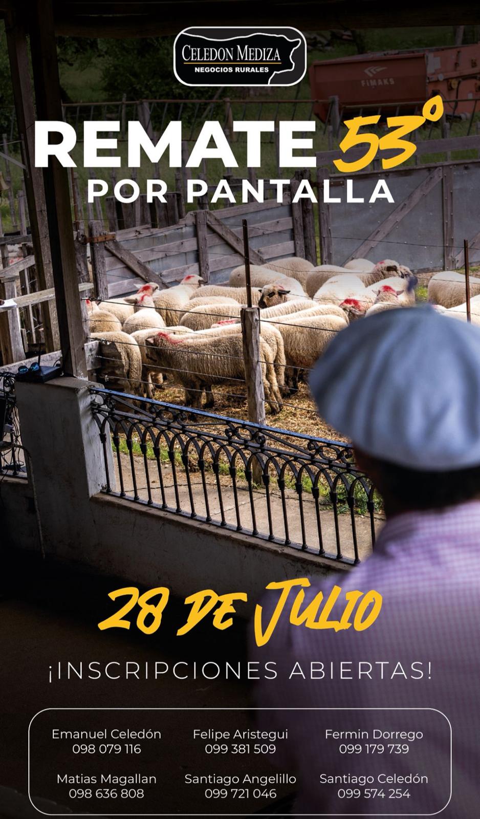 53º Remate por Pantalla