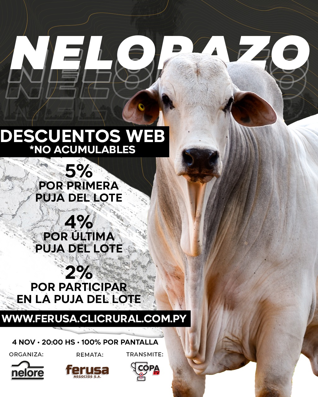 Afiche FERIA EL NELORAZO