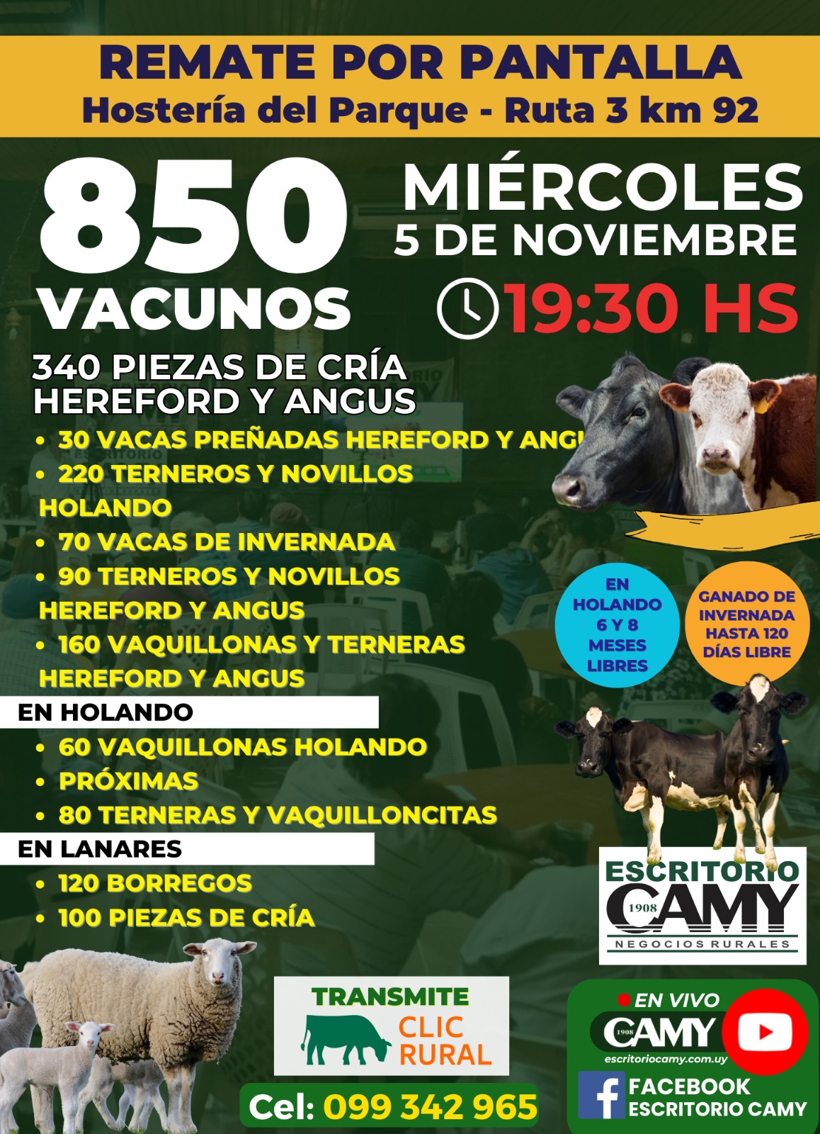 Remate Pantalla Camy