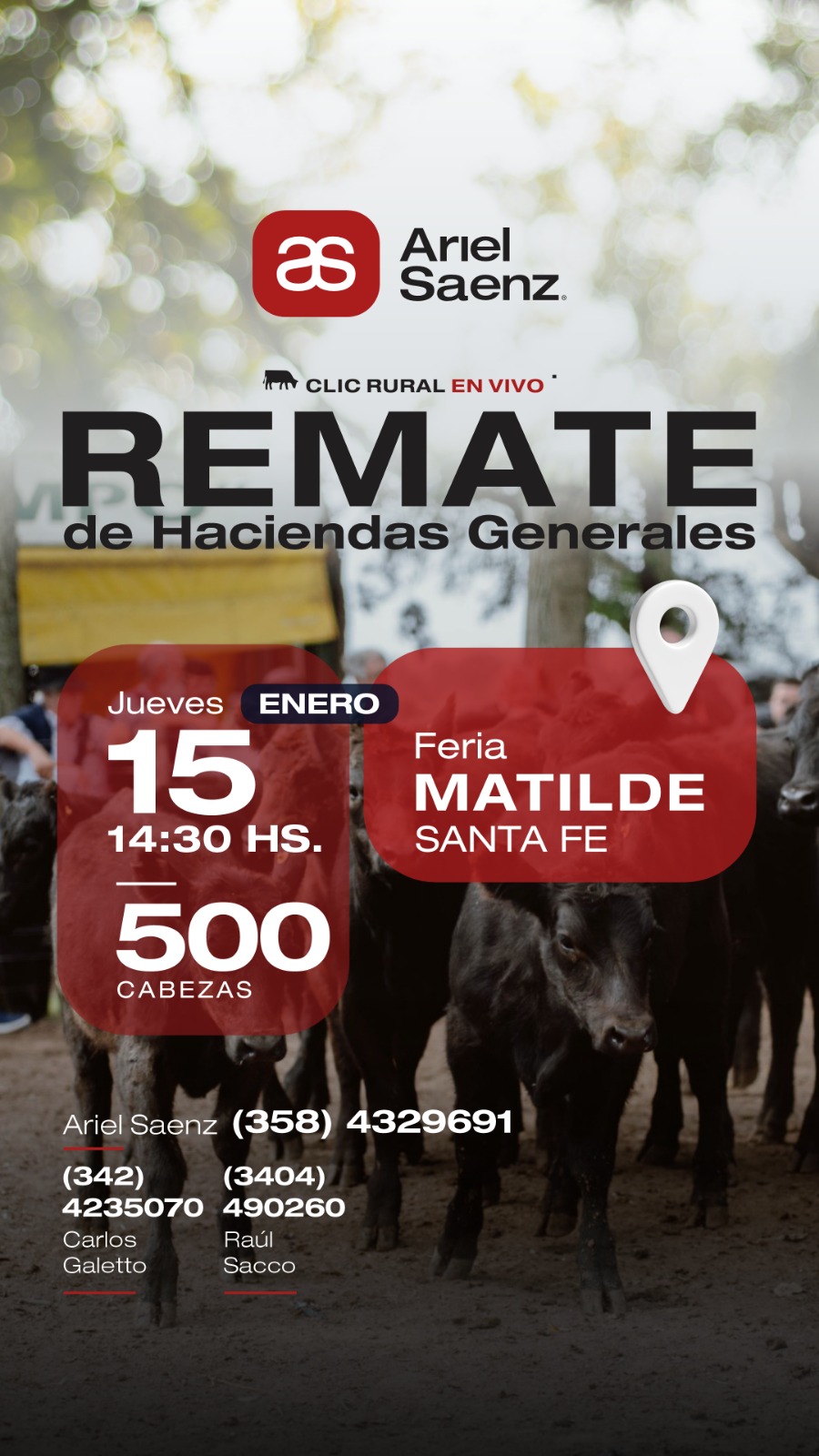 Remate 15 de Enero - Matilde