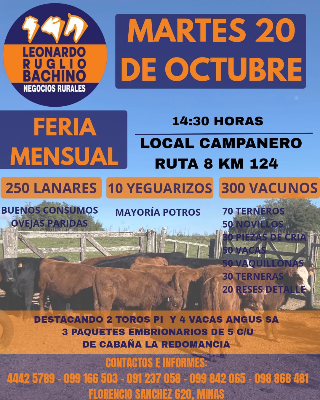 Feria mensual - Leonardo Ruglio Bachino