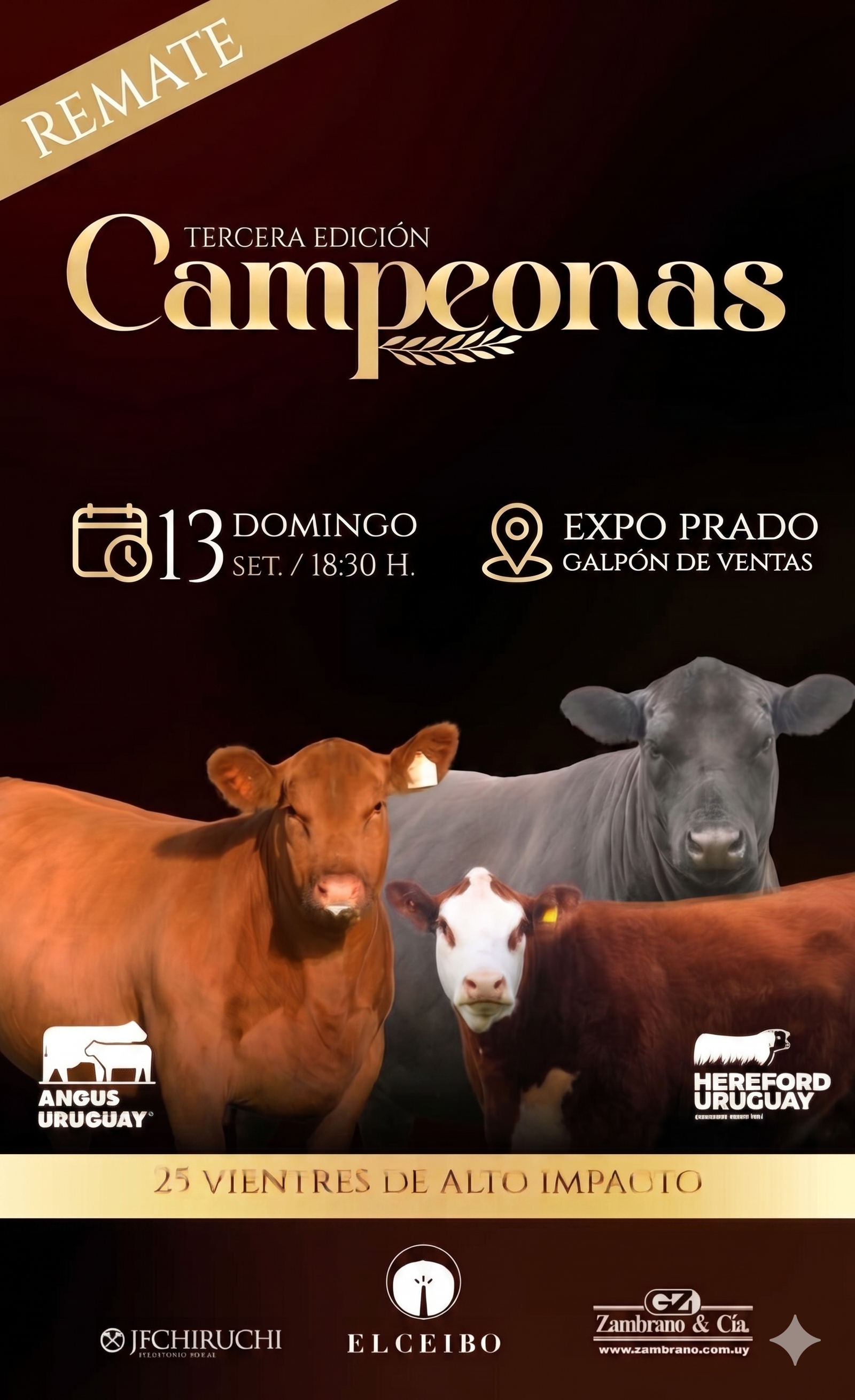TERCERA EDICION CAMPEONAS