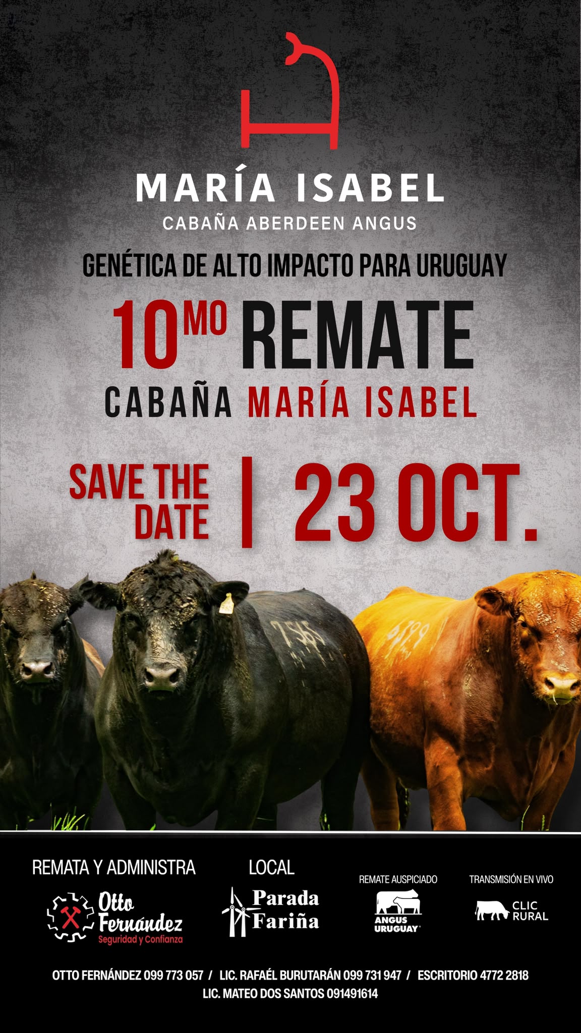 Remate 10º Maria Isabel