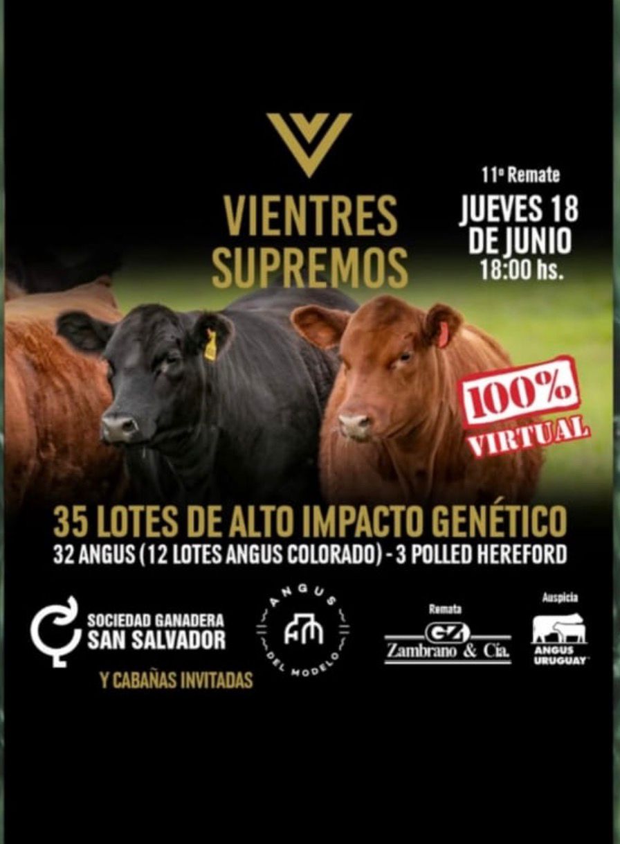 11º Vientres Supremos