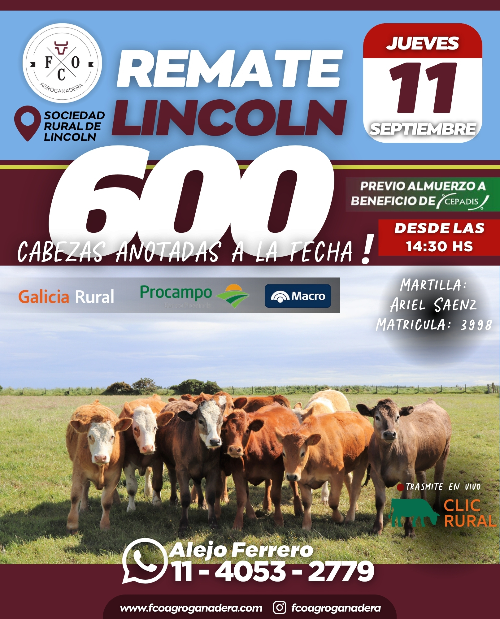 Remate 11 DE SEPTIEMBRE - Lincoln
