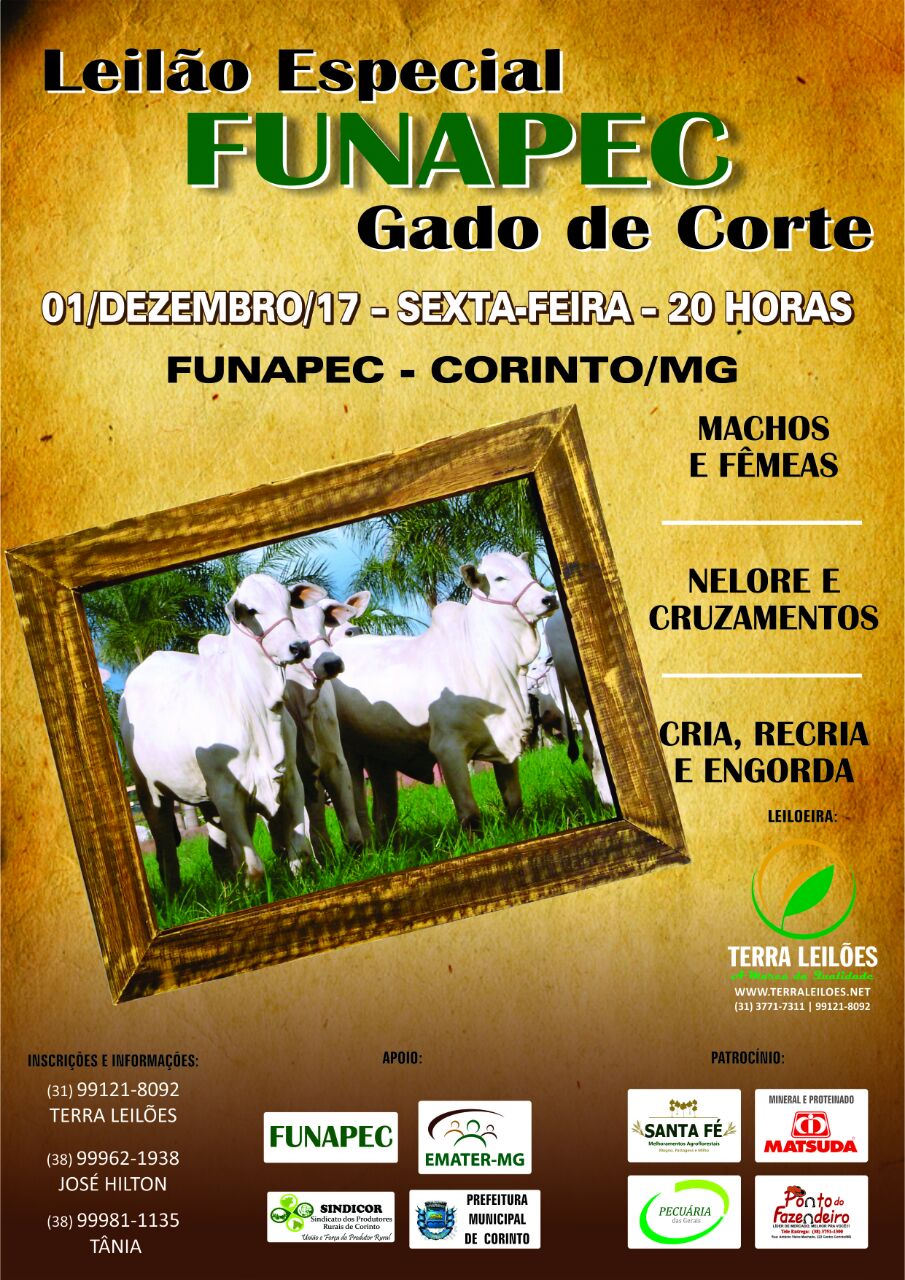 Afiche Leilão Especial FUNAPEC Gado de corte