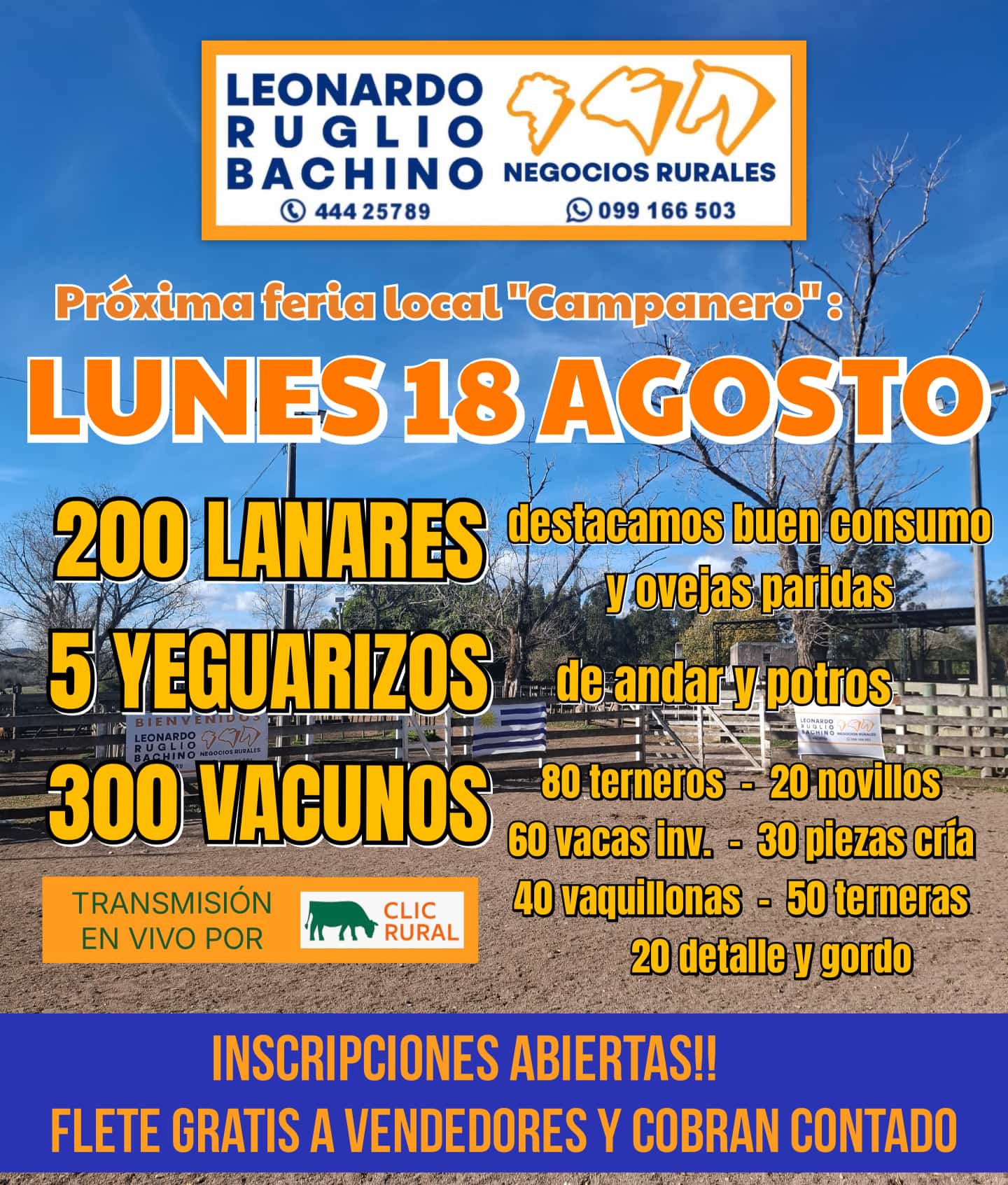 Afiche Feria Mensual - Leonardo Ruglio Bachino