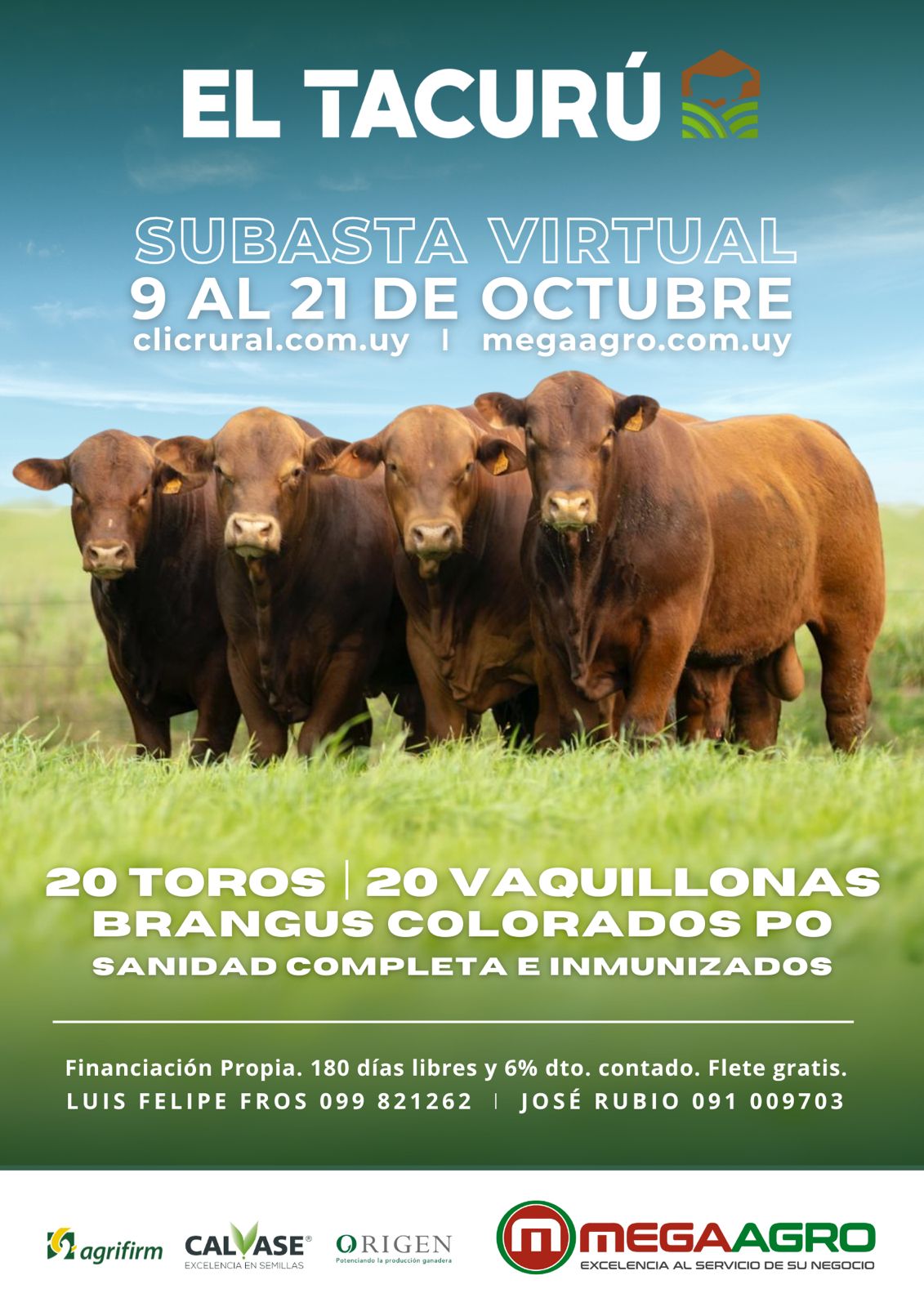 Afiche Subasta El Tacuru