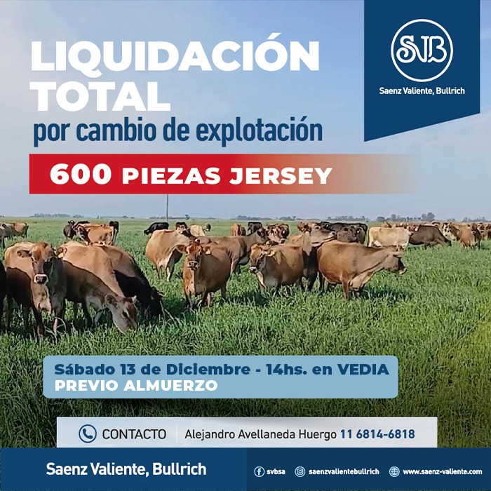 Liquidación JERSEY