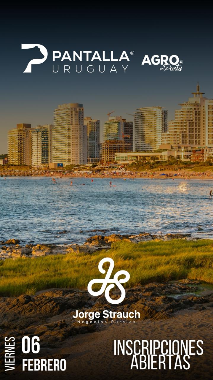 Remate Pantalla Uruguay- Agro en Punta