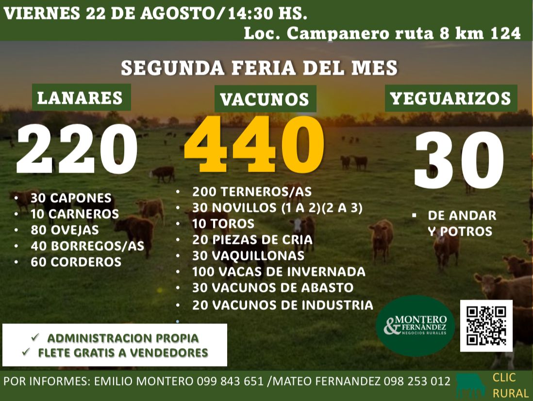 Feria Mensual - Montero Fernandez