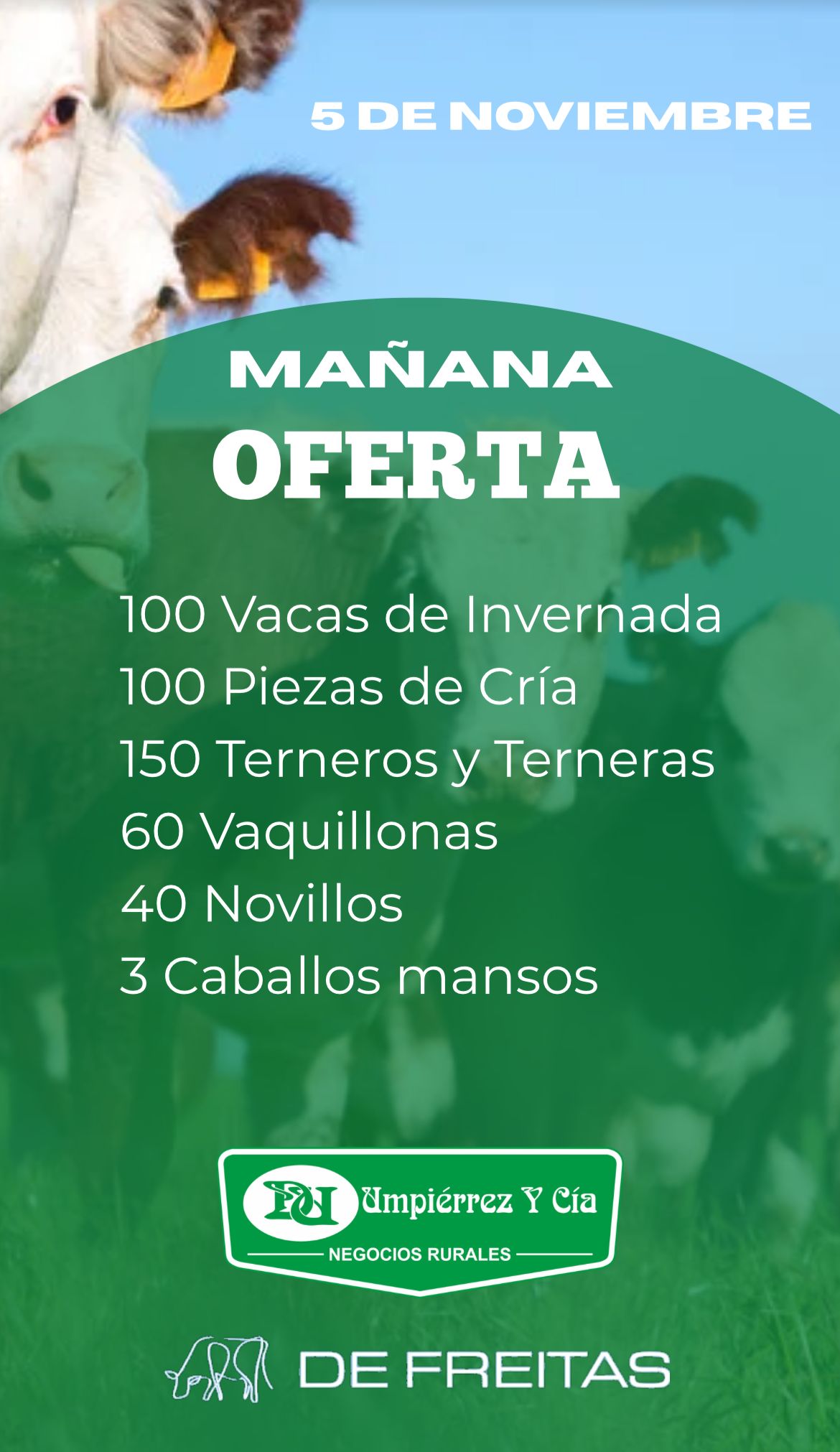 Remate Feria Mensual - Local Beloqui